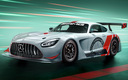 2022 Mercedes-AMG GT3 Edition 55