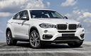 2014 BMW X6