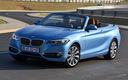 2017 BMW 2 Series Convertible (ZA)