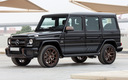 2018 Mercedes-AMG G 65 Final Edition