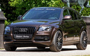 2011 Audi Q5 by Senner Tuning