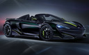 2020 McLaren 600LT Spider Segestria Borealis by MSO