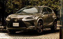 2020 Lexus NX Bronze Edition (JP)