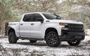 2021 Chevrolet Silverado Z71 Custom Crew Cab Realtree Edition