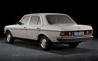 Mercedes-Benz 230 E (1980) (#100953)
