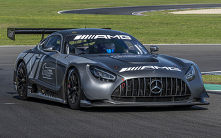 Mercedes-AMG GT3 (2019) (#101306)