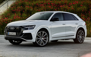 Audi Q8 Plug-In Hybrid S line (2020) (#101568)