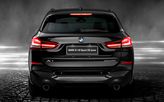 BMW X1 M Sport 25 Anos (2020) BR (#101991)