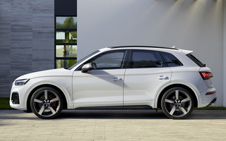 Audi SQ5 (2020) (#102065)