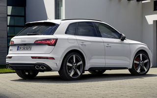 Audi SQ5 (2020) (#102066)