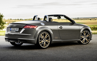 Audi TT Roadster Bronze Selection (2020) (#102375)