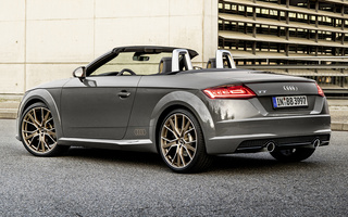 Audi TT Roadster Bronze Selection (2020) (#102378)