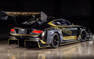 Bentley Continental GT3 Pikes Peak (2021) (#103961)