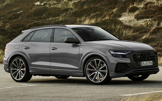 Audi Q8 Competition Plus (2021) (#104396)