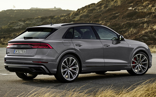 Audi Q8 Competition Plus (2021) (#104397)