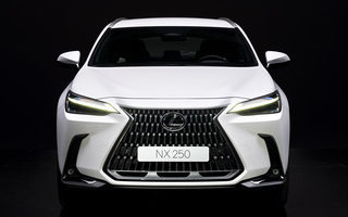 Lexus NX (2021) (#104819)