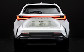 Lexus NX (2021) (#104821)