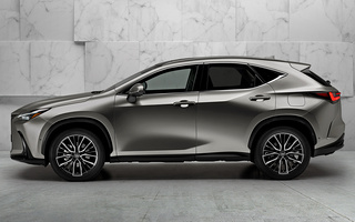 Lexus NX Hybrid (2021) (#104828)