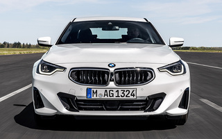 BMW 2 Series Coupe (2021) (#105080)