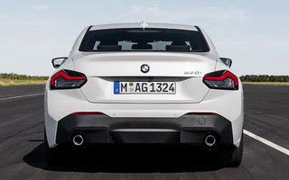 BMW 2 Series Coupe (2021) (#105081)