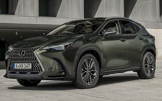 Lexus NX Hybrid (2021) (#106030)