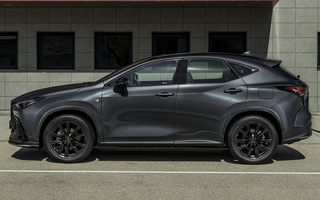 Lexus NX F Sport (2021) (#106061)