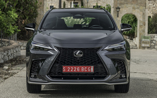 Lexus NX F Sport (2021) (#106062)