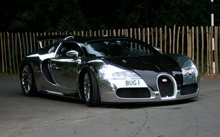 Bugatti Veyron Pur Sang (2007) (#10900)