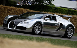 Bugatti Veyron Pur Sang (2007) (#10901)