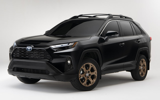 Toyota RAV4 Woodland Edition (2023) US (#109019)