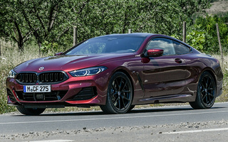 BMW 8 Series Coupe M Sport (2022) (#109483)
