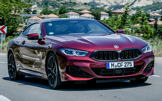 BMW 8 Series Coupe M Sport (2022) (#109484)