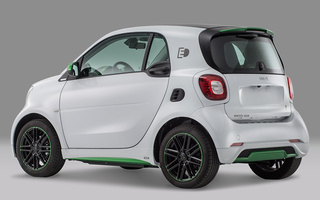 Smart Fortwo Electric Drive Ushuaia Limited Edition (2018) (#110006)
