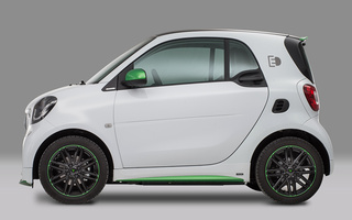 Smart Fortwo Electric Drive Ushuaia Limited Edition (2018) (#110008)