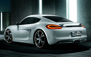 Porsche Cayman by TechArt (2013) (#111220)