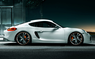 Porsche Cayman by TechArt (2013) (#111221)