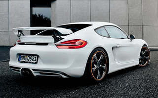 Porsche Cayman S by TechArt (2013) (#111224)