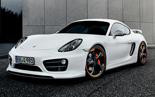 Porsche Cayman S by TechArt (2013) (#111225)