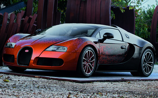 Bugatti Veyron Grand Sport by Bernar Venet (2012) (#11144)