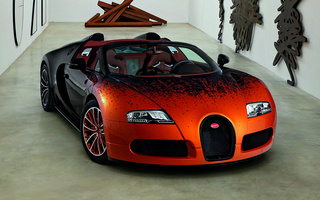 Bugatti Veyron Grand Sport by Bernar Venet (2012) (#11146)