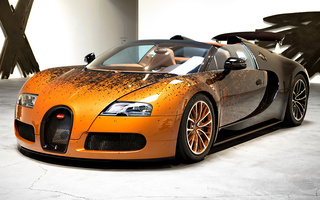 Bugatti Veyron Grand Sport by Bernar Venet (2012) (#11147)
