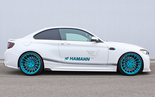 BMW M2 Coupe by Hamann (2016) (#111502)