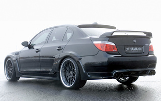 BMW M5 Widebody Race Edition by Hamann (2006) (#111508)