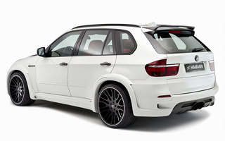 Hamann Flash Evo M (2010) (#111548)