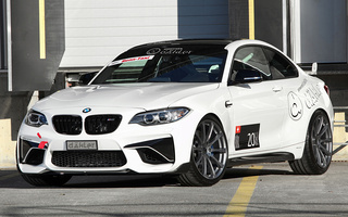 BMW M2 Coupe Race Line by dAHLer (2017) (#111988)