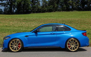 BMW M2 CS Coupe Competition Line by dAHLer (2020) (#111992)
