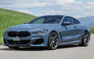 BMW M850i Coupe by dAHLer (2019) (#112017)