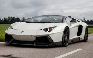 Lamborghini Aventador LP 700-4 Roadster by Novitec Torado (2014) (#112951)