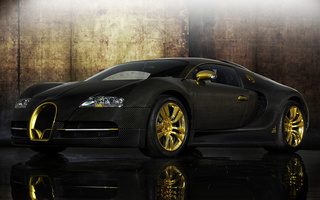 Mansory Vincero d'Oro (2010) (#113391)