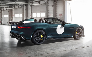 Jaguar F-Type Project 7 (2014) (#11356)